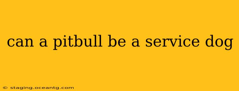 can a pitbull be a service dog