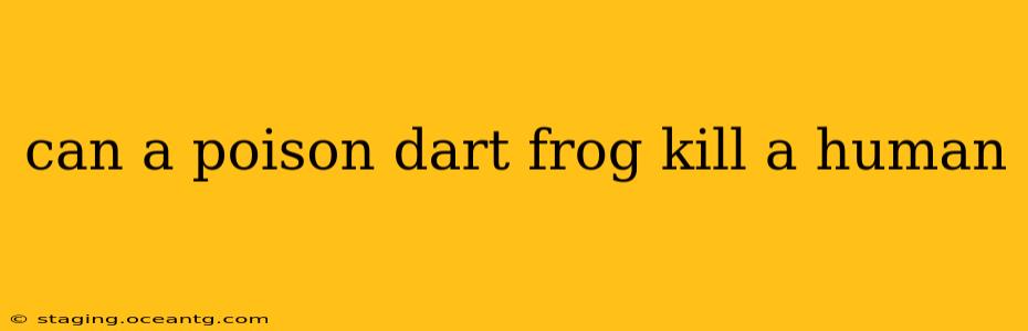 can a poison dart frog kill a human