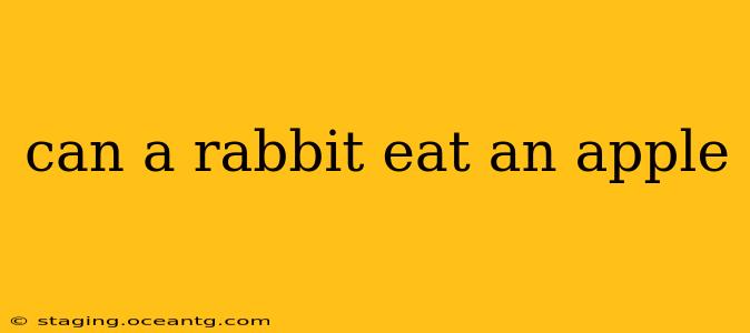can a rabbit eat an apple