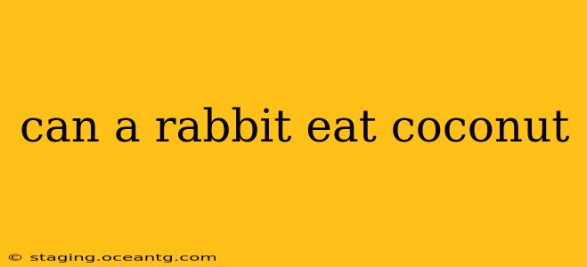 can a rabbit eat coconut