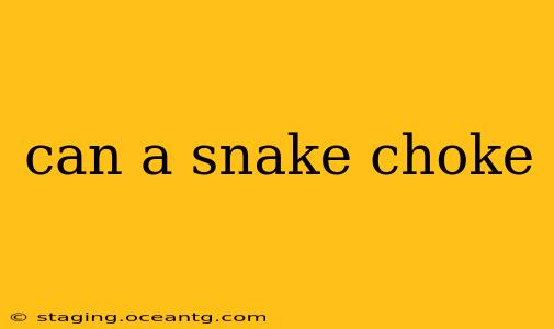 can a snake choke