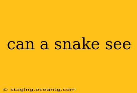 can a snake see