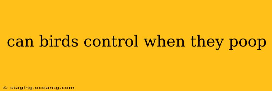 can birds control when they poop