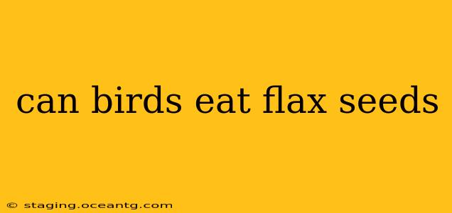 can birds eat flax seeds