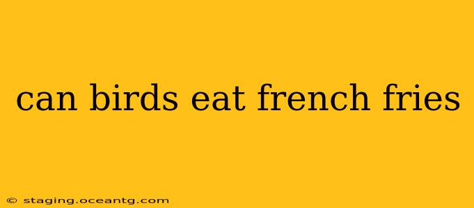 can birds eat french fries