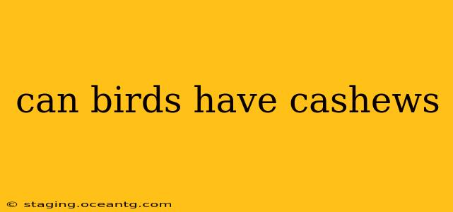 can birds have cashews