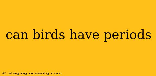 can birds have periods