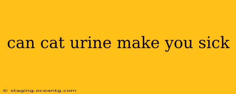 can cat urine make you sick