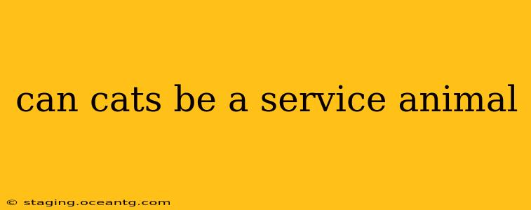 can cats be a service animal
