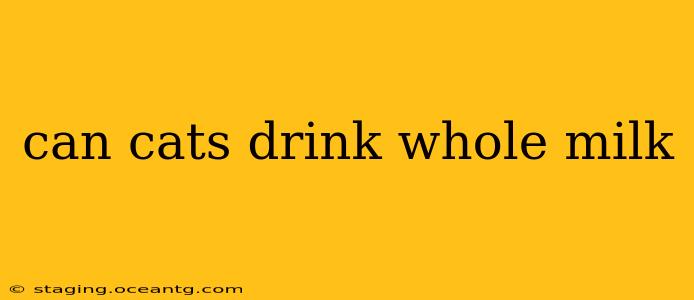 can cats drink whole milk