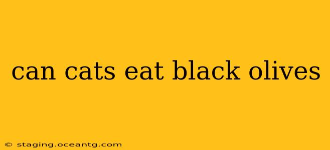 can cats eat black olives