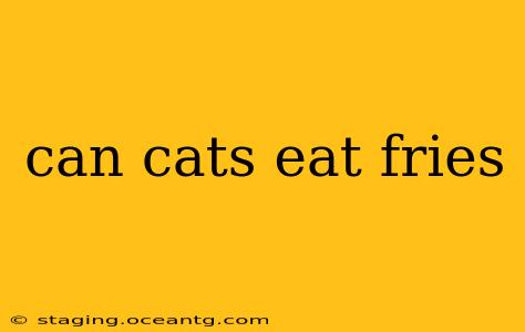 can cats eat fries