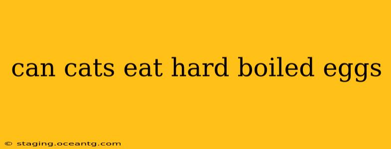 can cats eat hard boiled eggs