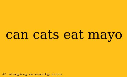 can cats eat mayo