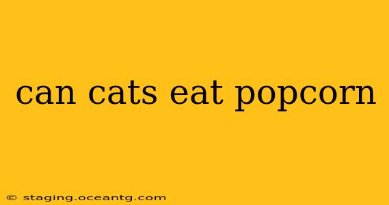 can cats eat popcorn