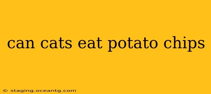 can cats eat potato chips