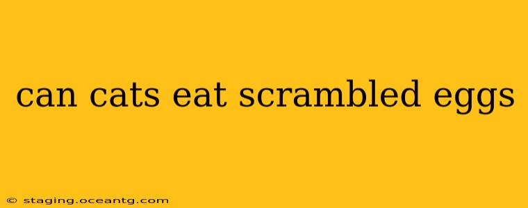 can cats eat scrambled eggs
