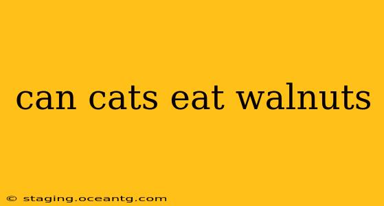 can cats eat walnuts