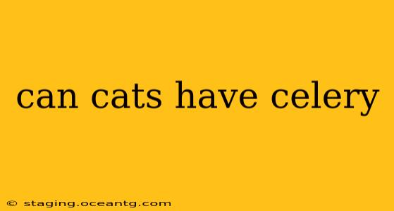can cats have celery