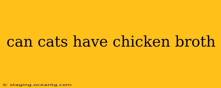 can cats have chicken broth