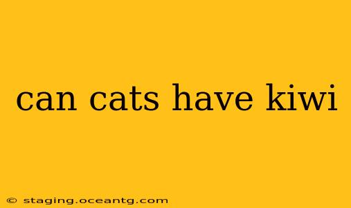 can cats have kiwi