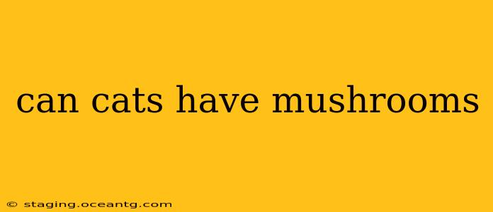 can cats have mushrooms