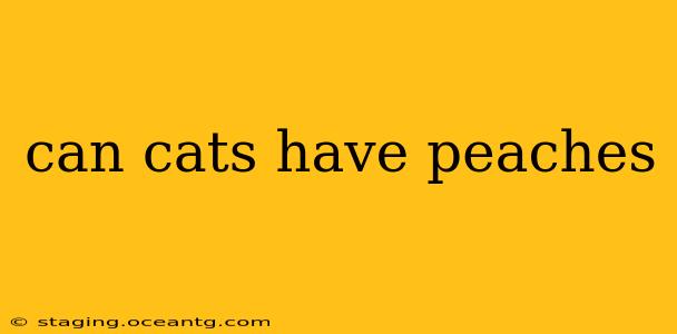 can cats have peaches