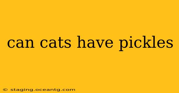 can cats have pickles