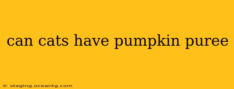 can cats have pumpkin puree