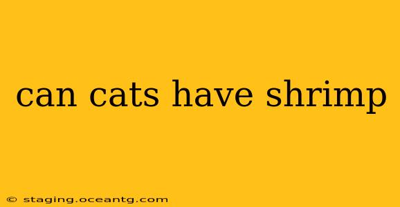 can cats have shrimp