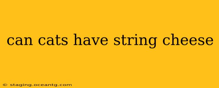 can cats have string cheese