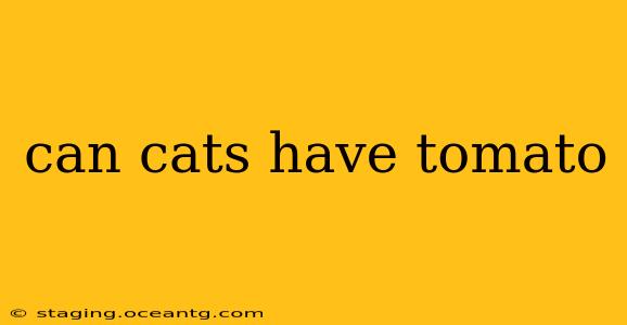 can cats have tomato
