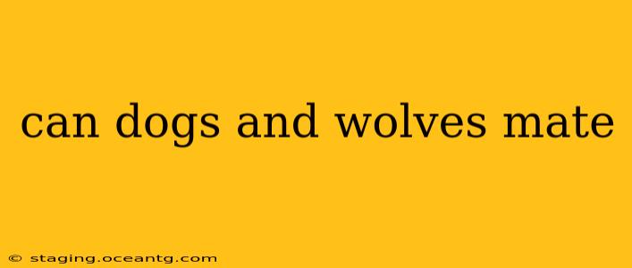 can dogs and wolves mate