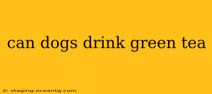 can dogs drink green tea