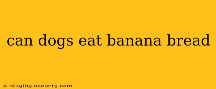 can dogs eat banana bread