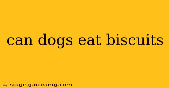 can dogs eat biscuits