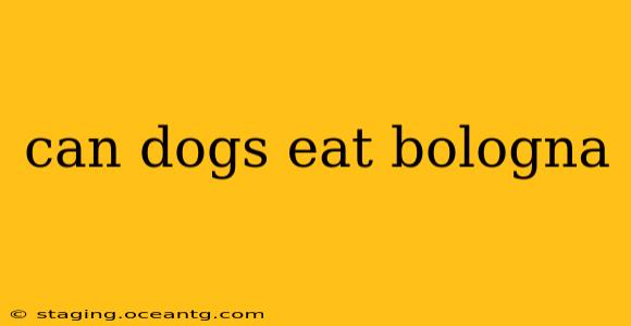 can dogs eat bologna