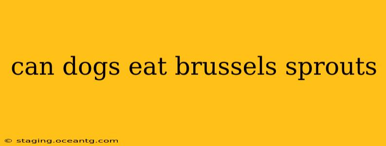 can dogs eat brussels sprouts