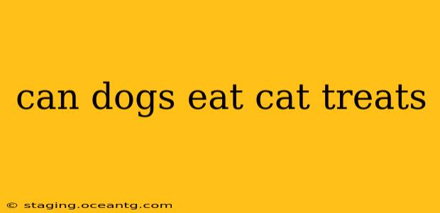 can dogs eat cat treats
