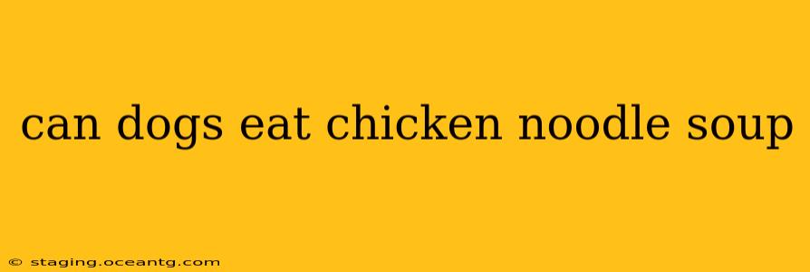 can dogs eat chicken noodle soup