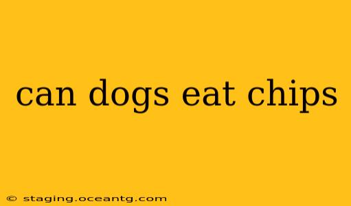 can dogs eat chips