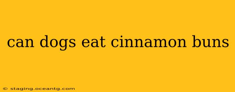 can dogs eat cinnamon buns