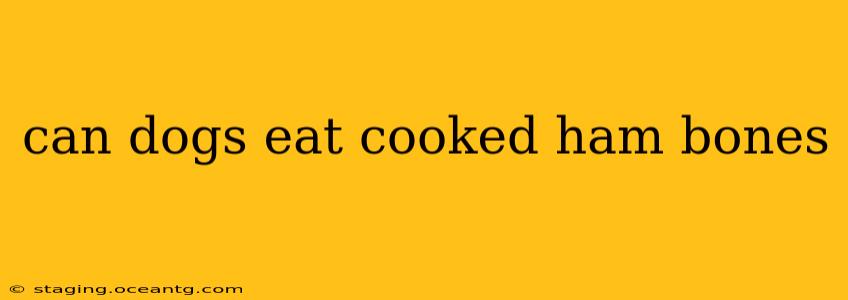 can dogs eat cooked ham bones
