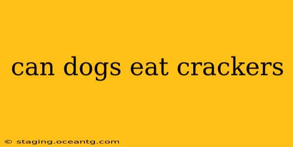 can dogs eat crackers