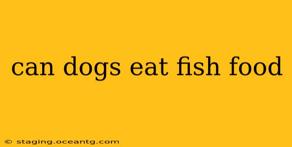 can dogs eat fish food