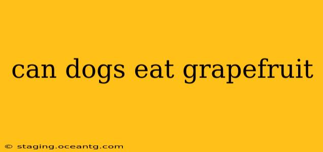 can dogs eat grapefruit