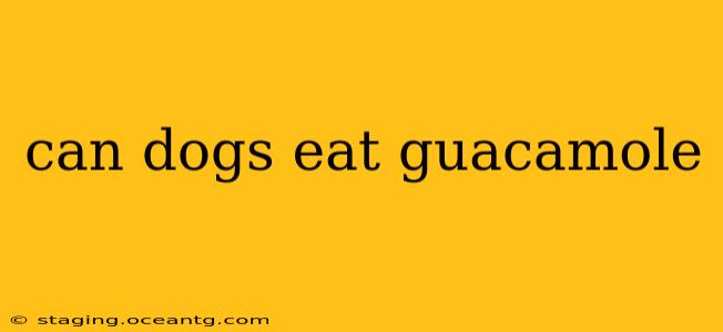 can dogs eat guacamole