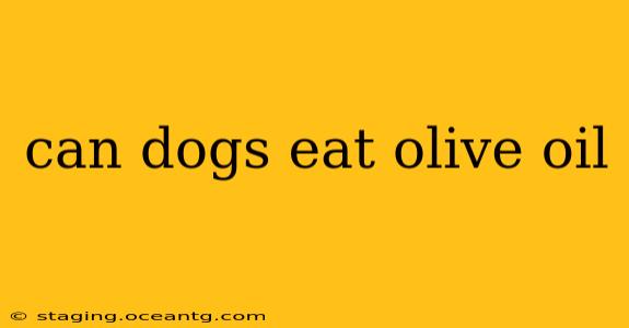 can dogs eat olive oil