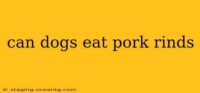can dogs eat pork rinds