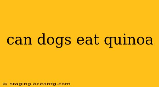 can dogs eat quinoa